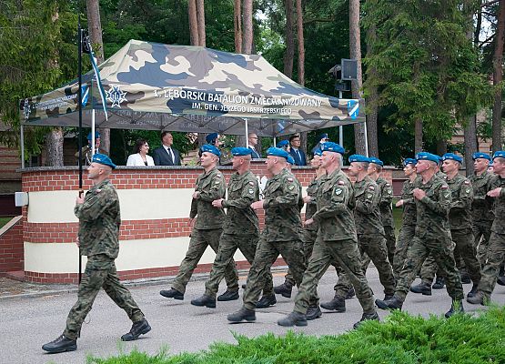 Przemarsz przed trybuną