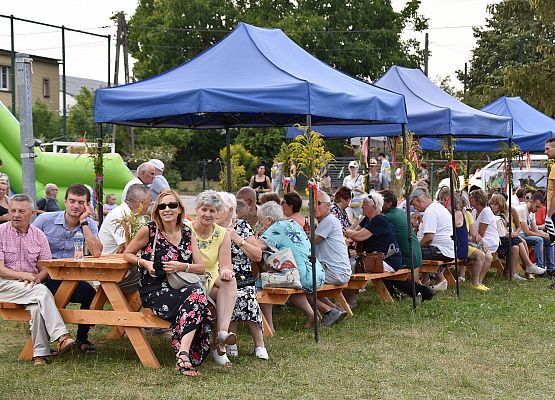 Uczestnicy dożynek