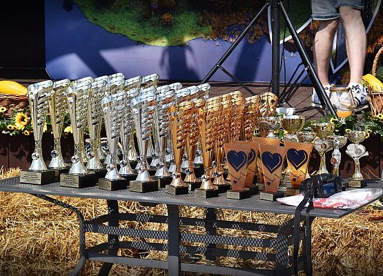 Trofea dla zwycięzców