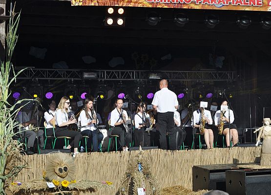 Koncert podczas dożynek w