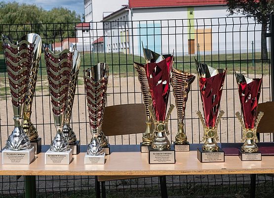 Puchary dla zwycięzców