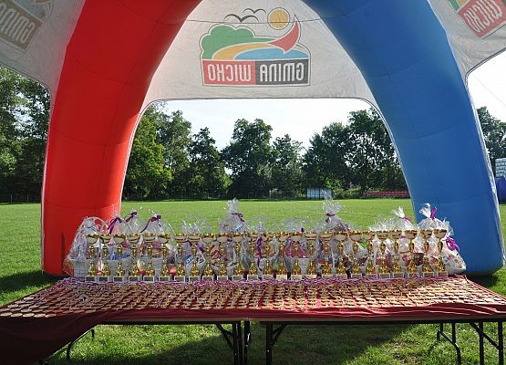 Puchary i medale dla