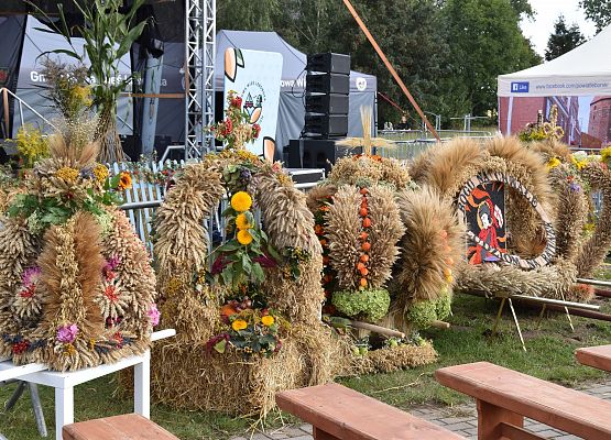 Wieńce zgłoszone do konkursu