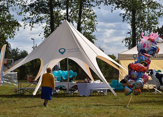 Stoiska dożynkowe organizacji,