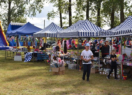 Stoiska dożynkowe organizacji,