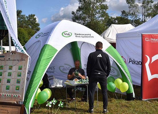 Stoiska dożynkowe organizacji,