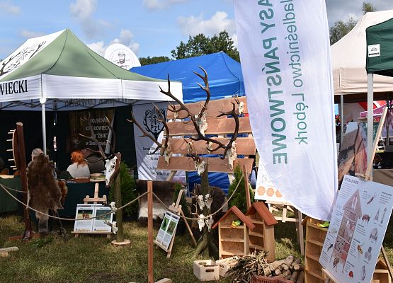 Stoiska dożynkowe organizacji,