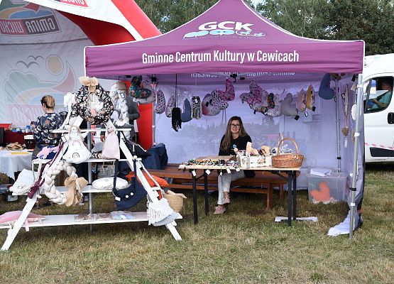 Stoiska dożynkowe organizacji,