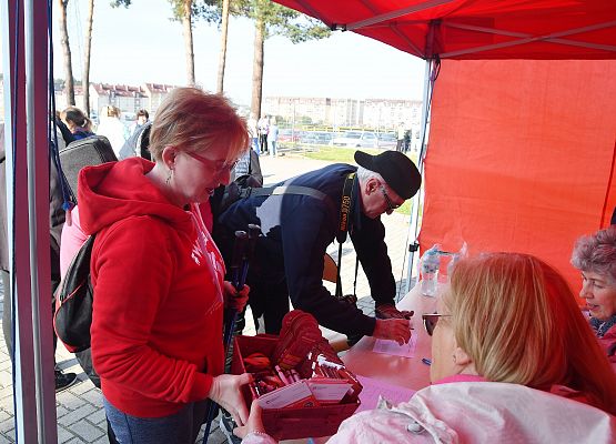 Zapisy na listę startową