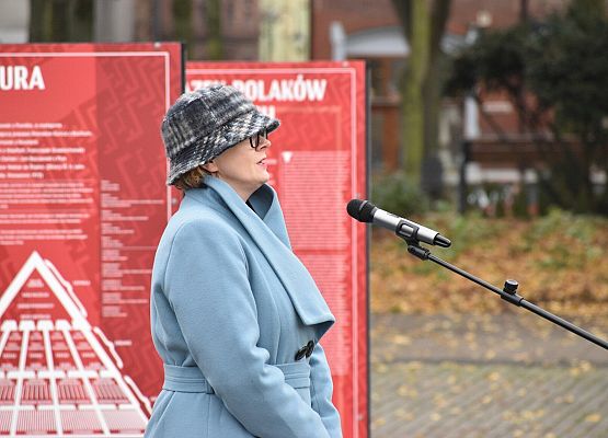 O wystawie mówi autorka - dr B