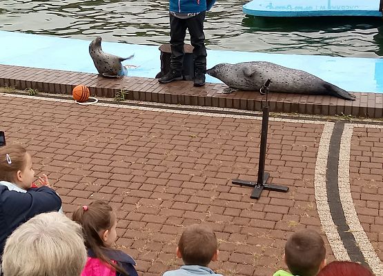 Wycieczka do Sea Parku