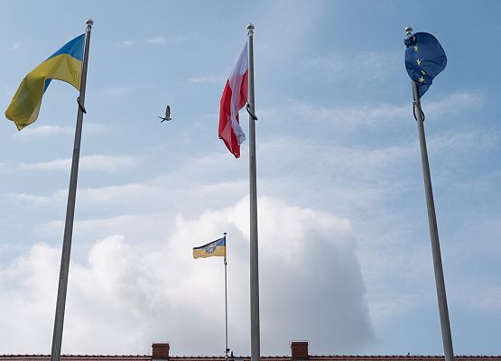 Uroczystości Dnia Flagi RP