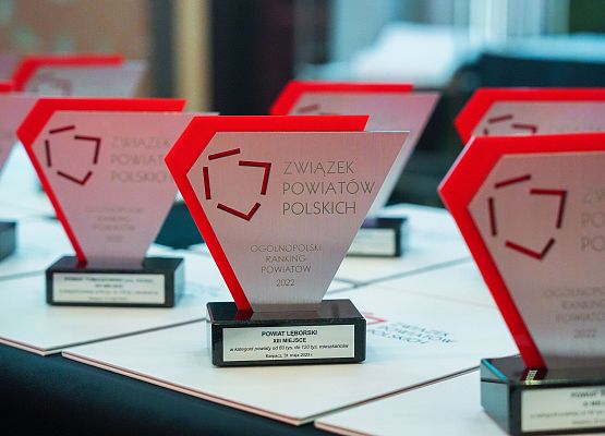 Statuetka ZPP dla Powiatu