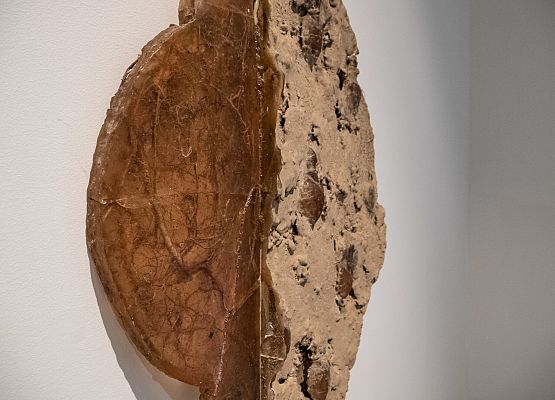 Wernisaż ekspozycji