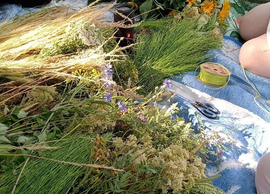 Warsztaty plastyczne