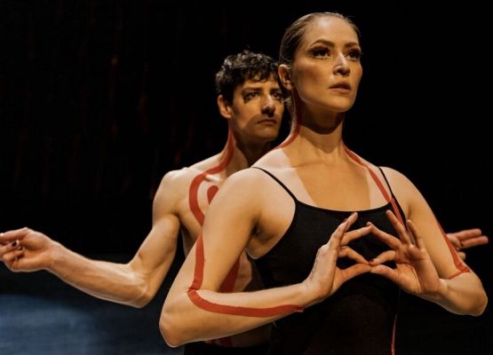 Filmy z gdyńskiego festiwalu w