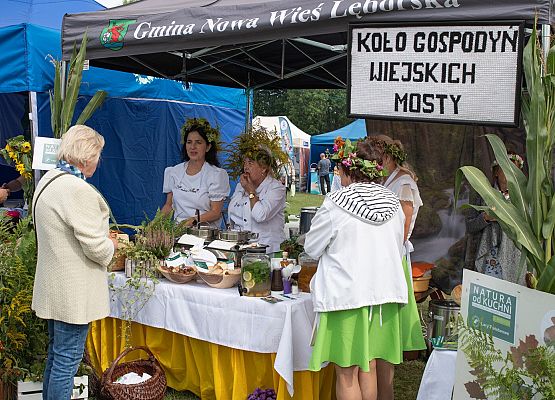 XXIII Dożynki Powiatowe w