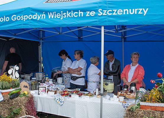 XXIII Dożynki Powiatowe w