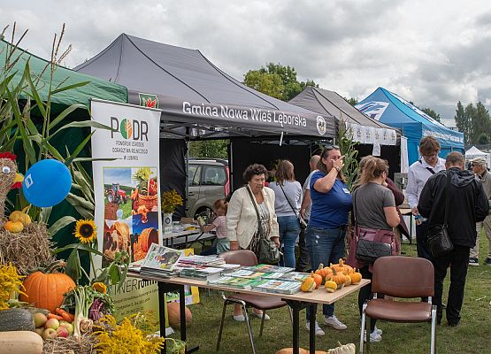 XXIII Dożynki Powiatowe w