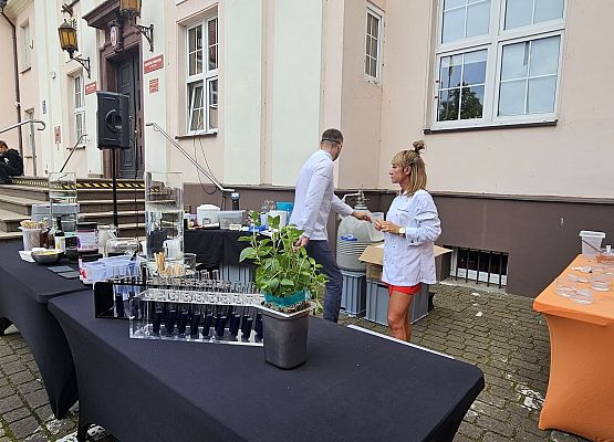 Integrujący Pokaz Kuchni