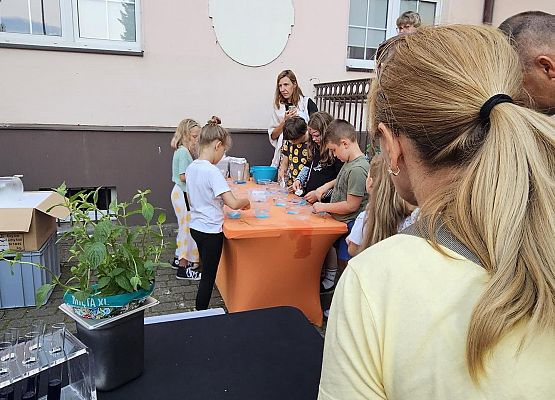 Integrujący Pokaz Kuchni