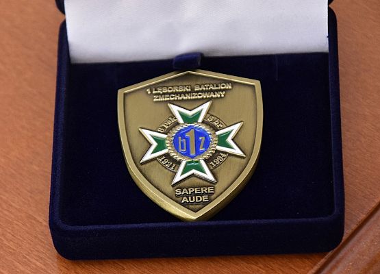 Odznaka 1. LBZ