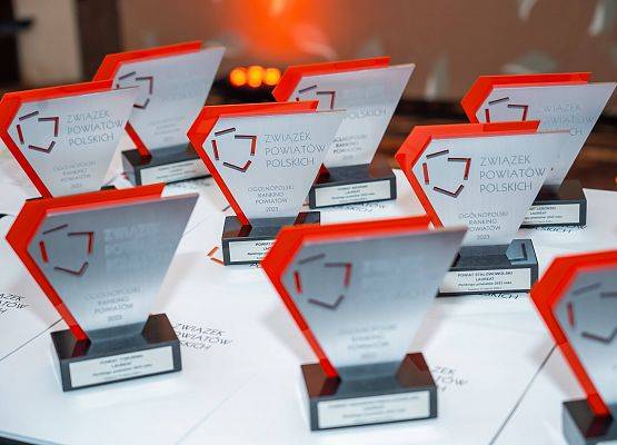 Statuetki - nagrody w Rankingu