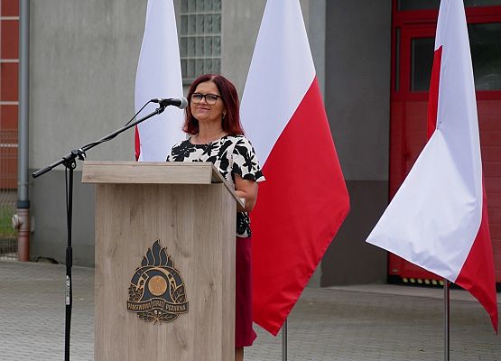 Powiatowe obchody Dnia