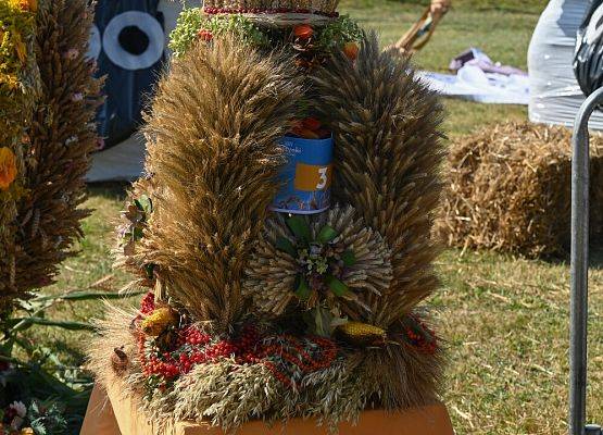 Dożynki Powiatowe 2024 w