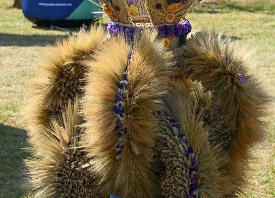 Dożynki Powiatowe 2024 w