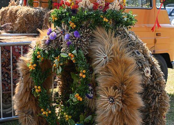 Dożynki Powiatowe 2024 w