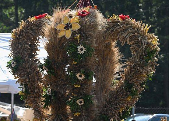 Dożynki Powiatowe 2024 w