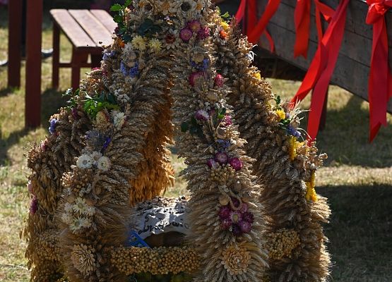 Dożynki Powiatowe 2024 w