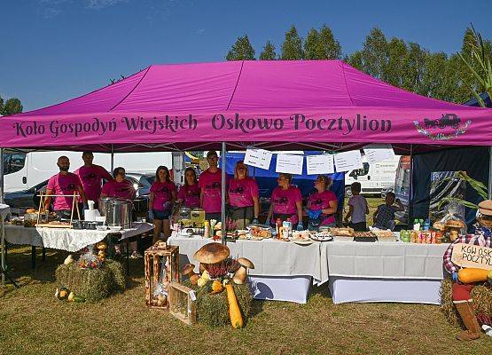 Powiatowe Dożynki w Cewicach