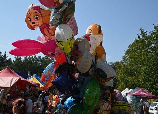 Dożynki Powiatowe 2024 w