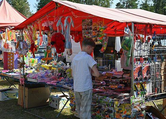 Dożynki Powiatowe 2024 w