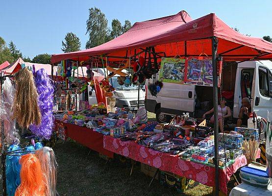 Dożynki Powiatowe 2024 w