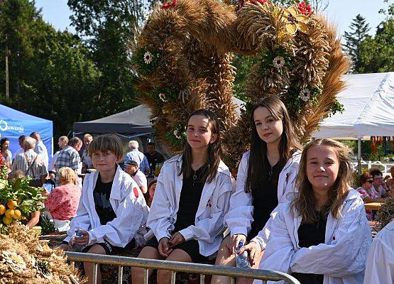 Dożynki Powiatowe 2024 w