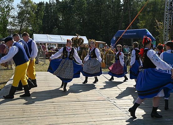 Dożynki Powiatowe 2024 w