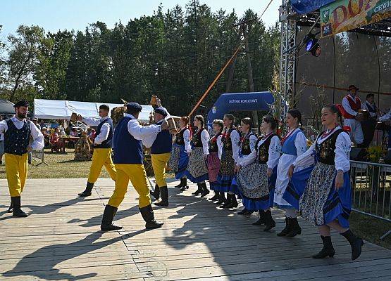 Dożynki Powiatowe 2024 w