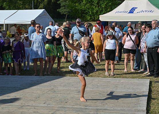 Dożynki Powiatowe 2024 w