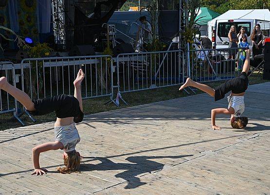 Dożynki Powiatowe 2024 w