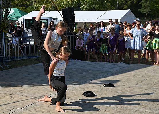 Dożynki Powiatowe 2024 w