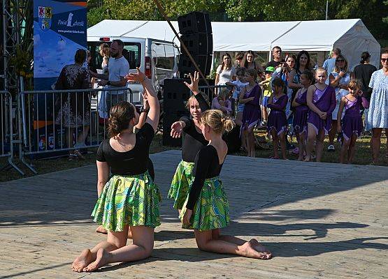 Dożynki Powiatowe 2024 w