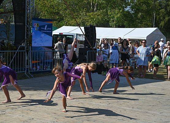 Dożynki Powiatowe 2024 w