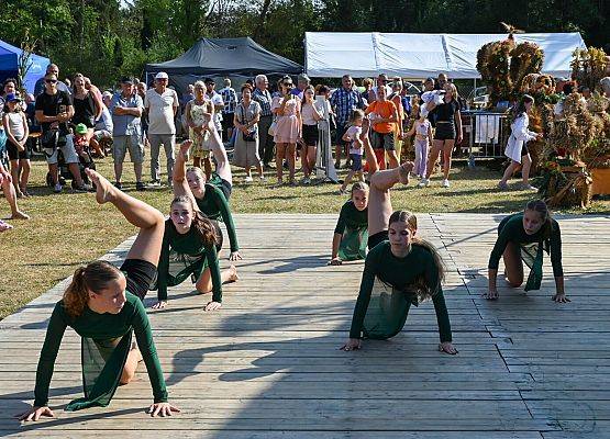 Dożynki Powiatowe 2024 w