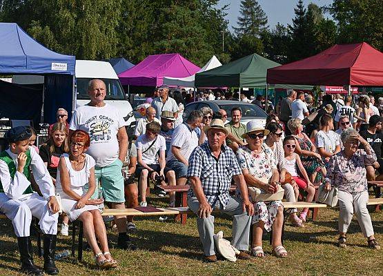 Dożynki Powiatowe 2024 w