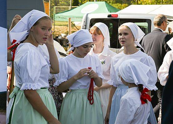 Dożynki Powiatowe 2024 w