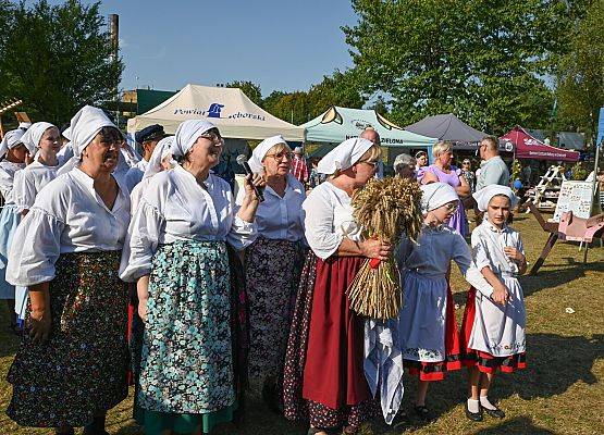 Dożynki Powiatowe 2024 w