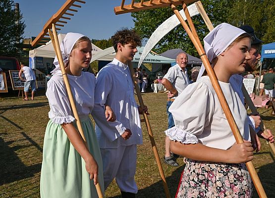 Dożynki Powiatowe 2024 w